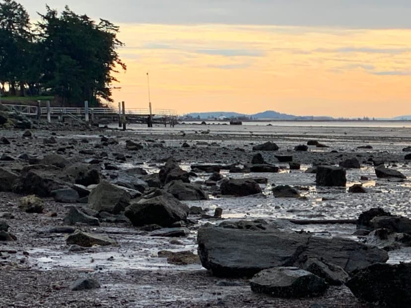 Day 1 Reference Photo