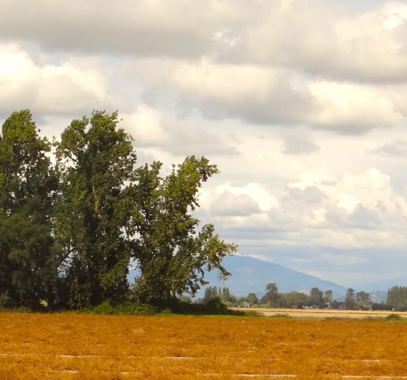 Day 2 Reference Photo